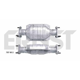 Compre Catalisador da ERNST 757652 a um preço baixo por 307,69 €