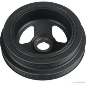 Achetez des Poulie damper (vilebrequin) HERTH+BUSS JAKOPARTS J1090502 à prix pour 60,69 €
