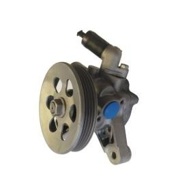Achetez des Pompe de direction assistée SPIDAN 54671 à prix pour 362,13 €