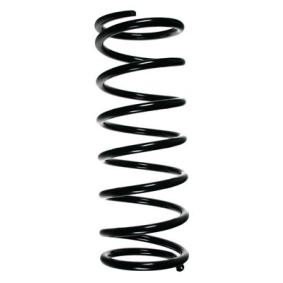 Fahrwerksfeder 56216 von SPIDAN günstig für 74,97 € online kaufen