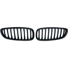 Compre Grelha de DIEDERICHS online para Z4 Roadster (E89) a preços moderados