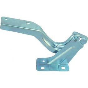 Comprar Bisagra, capó del motor de DIEDERICHS 6025019 a bajo precio de 28,23 €