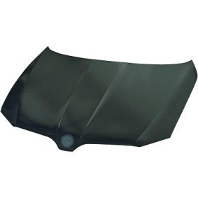 Comprar Capó de DIEDERICHS 7841100 a bajo precio de 390,92 €