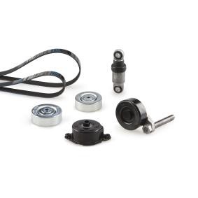 Compre Jogo de correias trapezoidais estriadas da GATES K055PK2030 a um preço baixo por 188,07 €