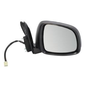 Außenspiegel 5402-04-1112994P von BLIC günstig für 88,47 € online kaufen