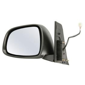 Außenspiegel 5402-04-1112995P von BLIC günstig für 90,25 € online kaufen