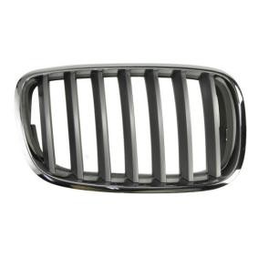 Compre Grelha de radiador da BLIC 6502-07-0096992PP a um preço baixo por 29,80 €