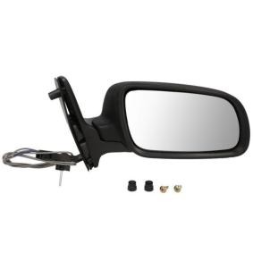 Außenspiegel 5402-04-1115899P von BLIC günstig für 51,75 € online kaufen