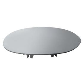 Spiegelglas, Außenspiegel 6102-02-1232282P von BLIC günstig für 12,99 € online kaufen