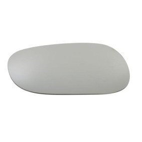 Spiegelglas, Außenspiegel 6102-02-1292528P von BLIC günstig für 30,77 € online kaufen