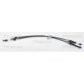 Acquista Cavo comando, Cambio manuale da TRISCAN 8140 50701 a buon mercato per soli 143,42 €
