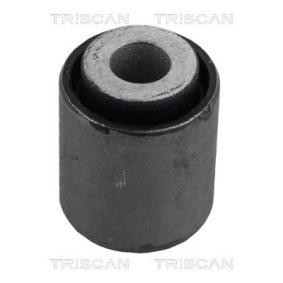 Compre Suspensão, braço oscilante da TRISCAN 8500 23836 a um preço baixo por 13,01 €