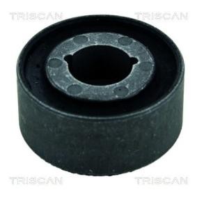 Compre Suspensão, braço oscilante da TRISCAN 8500 23849 a um preço baixo por 11,60 €