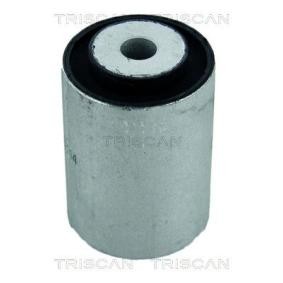 Compre Suspensão, braço oscilante da TRISCAN 8500 23852 a um preço baixo por 19,64 €