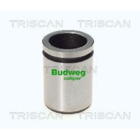 Temperaturschalter, Kühlerlüfter 8625 135085 von TRISCAN günstig für 16,52 € online kaufen