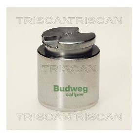 Acquista Bulbo ventola radiatore da TRISCAN online per ALTO (HA12, HA23) a prezzi moderati