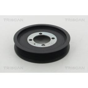 Compre Polia, cambota da TRISCAN 8643 24006 a um preço baixo por 315,99 €
