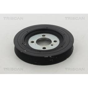 Achetez des Poulie damper (vilebrequin) TRISCAN 8643 43001 à prix pour 145,52 €