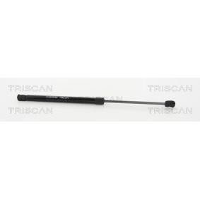Heckklappendämpfer 8710 18242 von TRISCAN günstig für 32,83 € online kaufen
