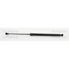 Heckklappendämpfer 8710 25272 von TRISCAN günstig für 20,27 € online kaufen