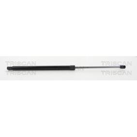 Heckklappendämpfer 8710 40242 von TRISCAN günstig für 38,34 € online kaufen