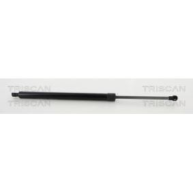 Heckklappendämpfer 8710 50254 von TRISCAN günstig für 13,72 € online kaufen