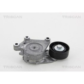 Fahrwerksfeder 8750 4097 von TRISCAN günstig für 58,25 € online kaufen