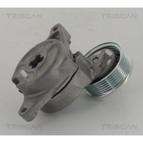 Fahrwerksfeder 8750 4393 von TRISCAN günstig für 111,26 € online kaufen