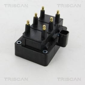 Achetez des Bobine d'allumage TRISCAN 8860 10015 à prix pour 39,31 €