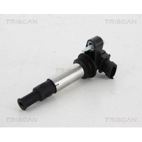 Acquista Bobina d'accensione da TRISCAN 8860 10017 a buon mercato per soli 97,47 €