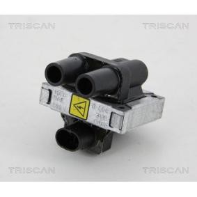Acquista Bobina d'accensione da TRISCAN 8860 15020 a buon mercato per soli 33,87 €