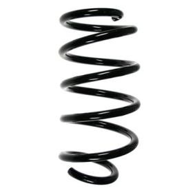 Compre Mola de suspensão da SPIDAN 85017 a um preço baixo por 62,98 €