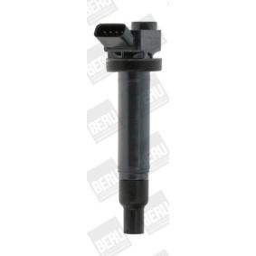 Compre Bobina de ignição da BERU ZSE173 a um preço baixo por 29,25 €