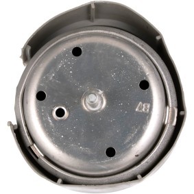 Acquista Galoppino / guidacinghia, cinghia poly-v da GATES online per Sunfire Coupe a prezzi moderati