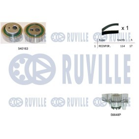 Wasserpumpe 67730 von RUVILLE günstig für 36,10 € online kaufen