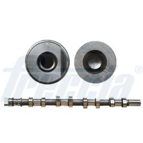 Achetez des Arbre à came de chez FRECCIA en ligne pour INTERSTAR Camion plate-forme/Châssis à prix modérés