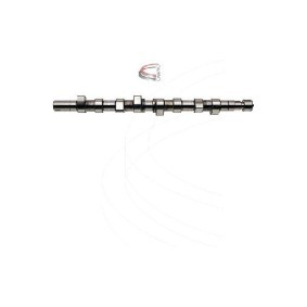 Comprar Árbol de levas de CAMPRO CP13306 a bajo precio de 419,00 €