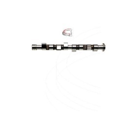 Comprar Árbol de levas de CAMPRO CP16366 a bajo precio de 474,77 €
