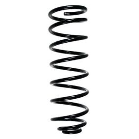 Fahrwerksfeder 49120 von SPIDAN günstig für 43,92 € online kaufen