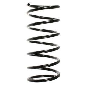 Fahrwerksfeder 55161 von SPIDAN günstig für 54,07 € online kaufen
