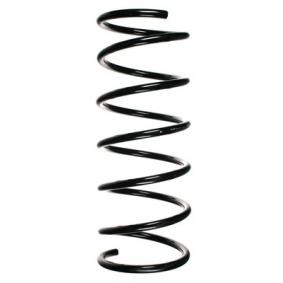 Fahrwerksfeder 55174 von SPIDAN günstig für 72,40 € online kaufen