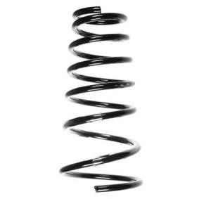Fahrwerksfeder 55496 von SPIDAN günstig für 68,40 € online kaufen