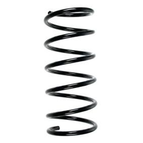 Fahrwerksfeder 55503 von SPIDAN günstig für 56,92 € online kaufen