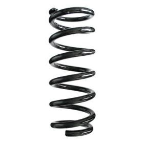 Compre Mola de suspensão da SPIDAN 55578 a um preço baixo por 86,45 €