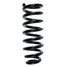 Fahrwerksfeder 85117 von SPIDAN günstig für 71,13 € online kaufen