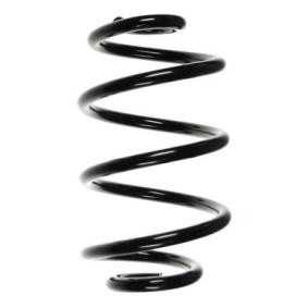 Fahrwerksfeder 85295 von SPIDAN günstig für 47,02 € online kaufen