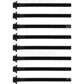 Compre Tornillos de culata de REINZ online para Picanto (SA) a precios moderados