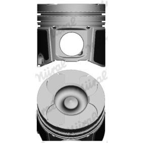 Achetez des Piston de chez NÜRAL en ligne pour INTERSTAR Camion plate-forme/Châssis à prix modérés