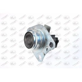 Acquista Testina braccio oscillante da FORTUNE LINE FZ3082 a buon mercato per soli 15,19 €