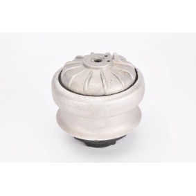Compre Suporte, motor da FORTUNE LINE FZ90343 a um preço baixo por 29,90 €